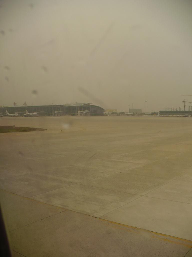 P1010461.jpg