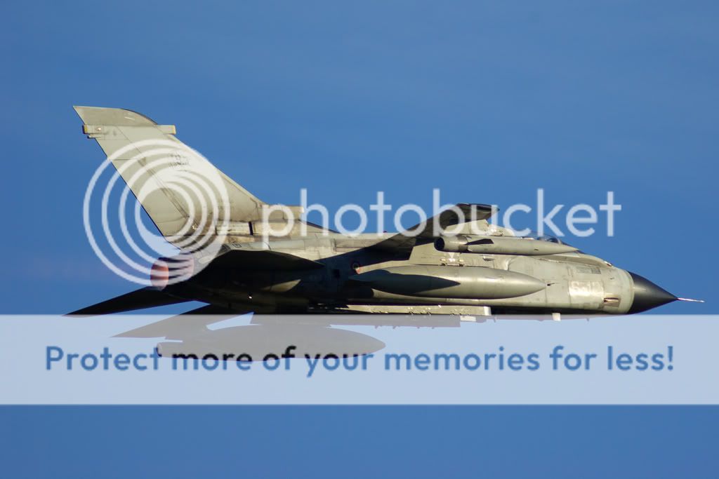 IMGP6072.jpg