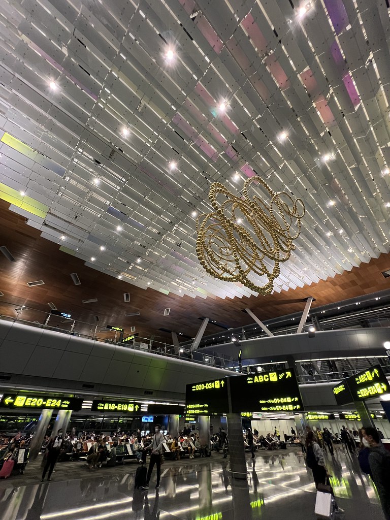 51929451926_f261815653_b.jpg