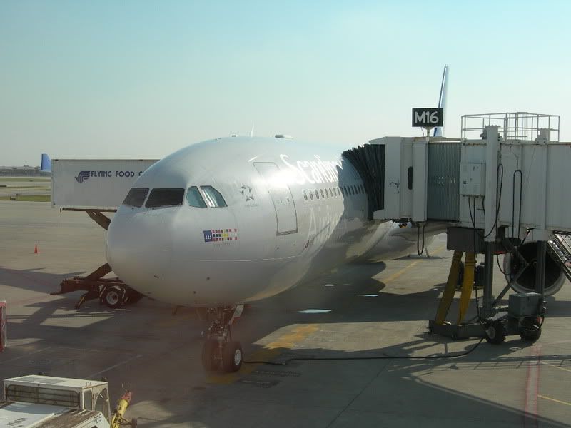 DSCN3251.jpg