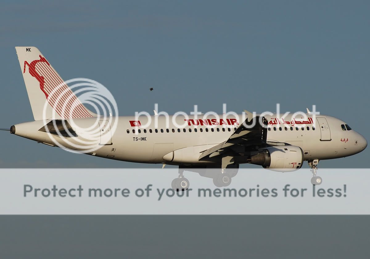 TS-IMK.jpg