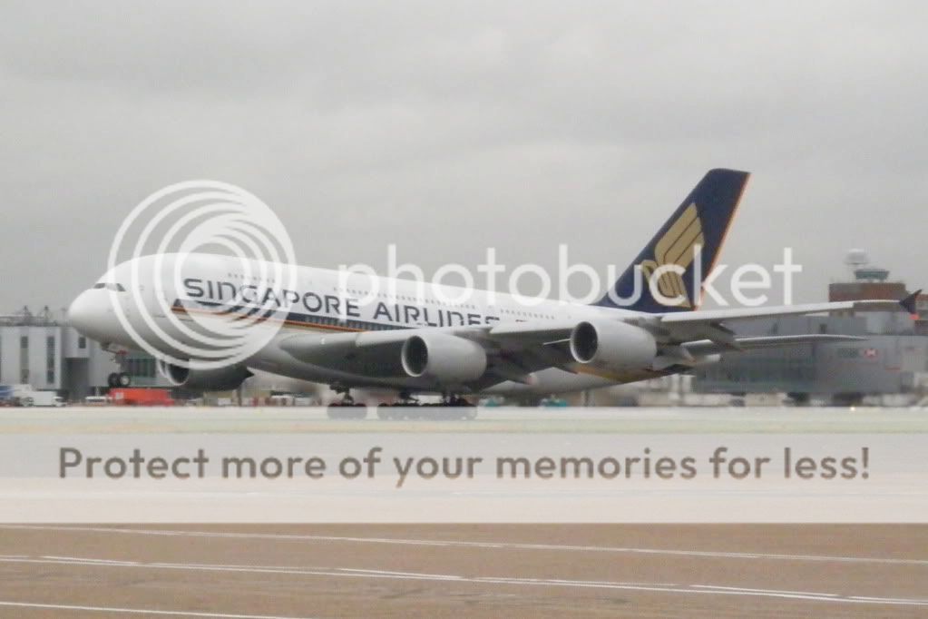 PA280206.jpg