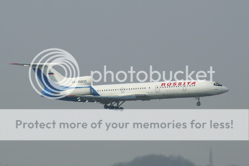 RA85835Mxp1503.jpg