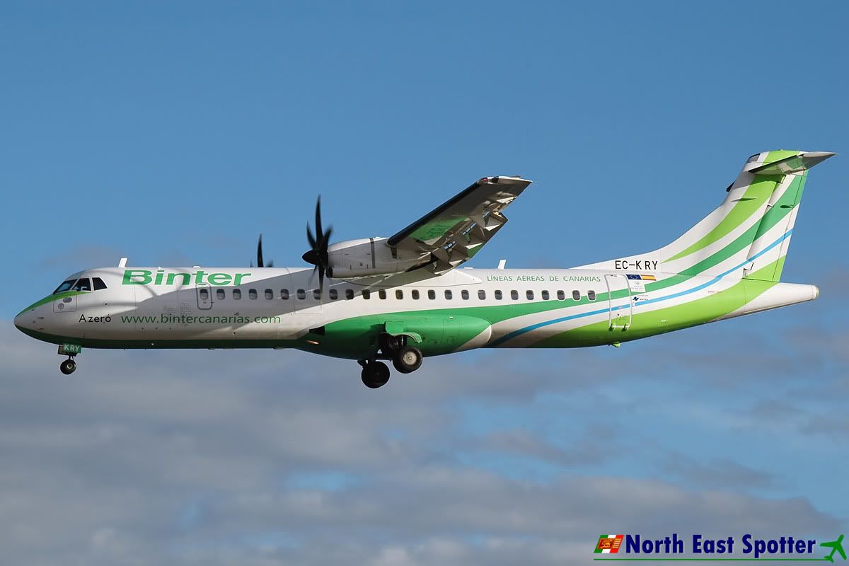 EC-KRY_01-12-10_ACE.jpg