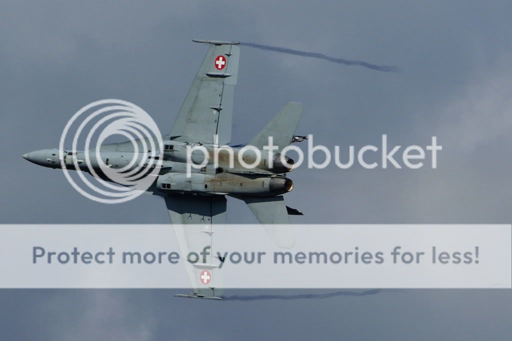 IMGP2551.jpg