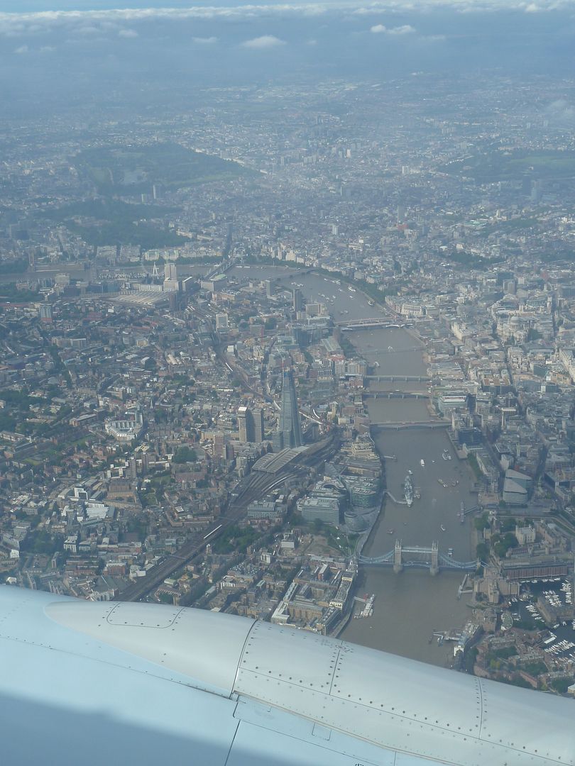 P1010544.jpg