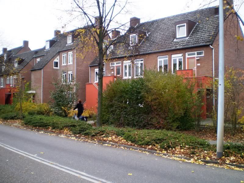 PB040243.jpg