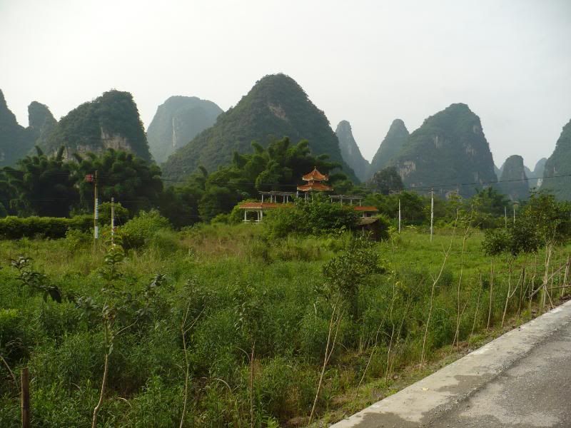 P1000756.jpg