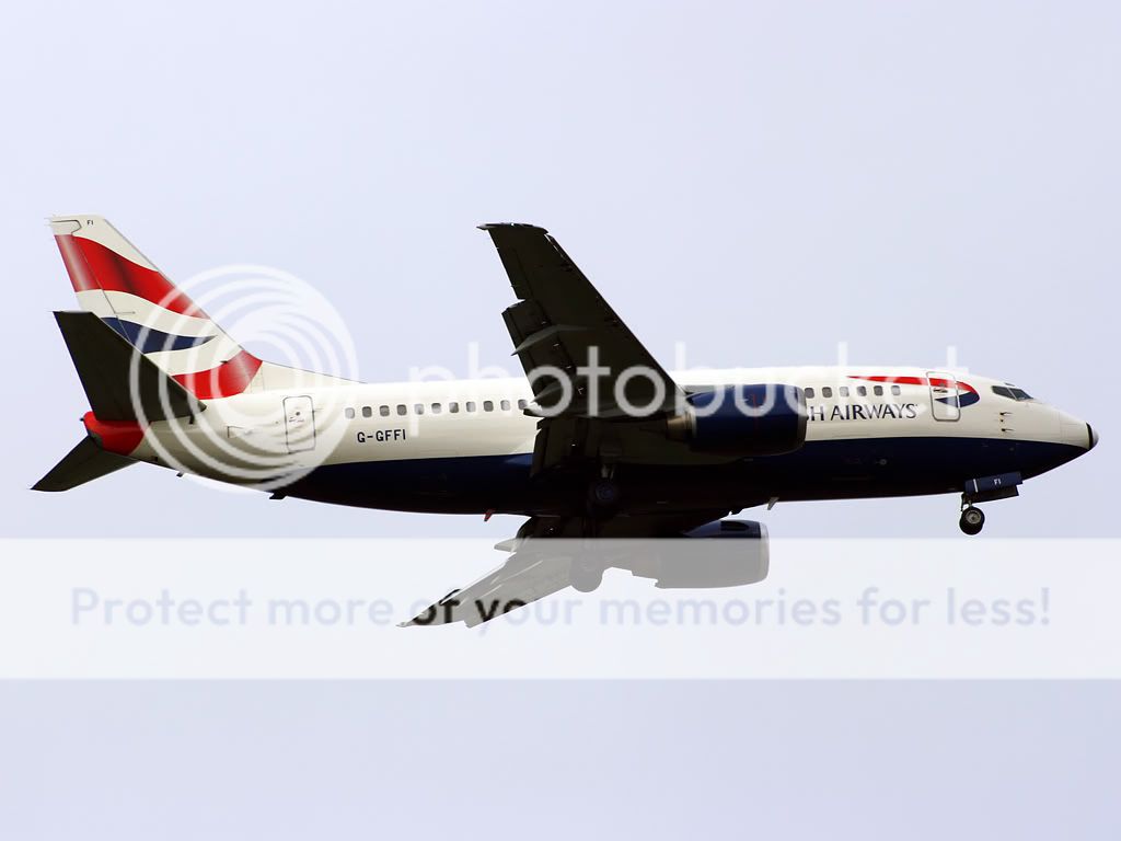 g-ffi.jpg