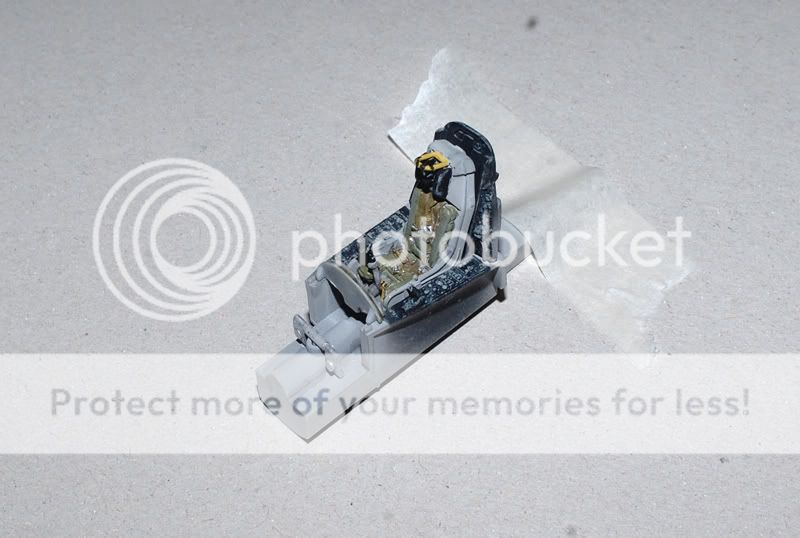 DSC_4318.jpg