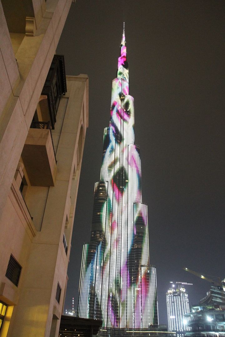 TR058_zpstatmtwg7.jpg