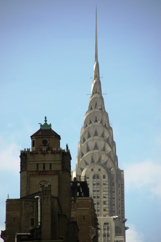 DSC_8556.jpg