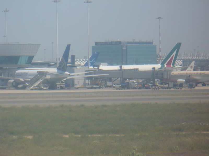 P1020186.jpg