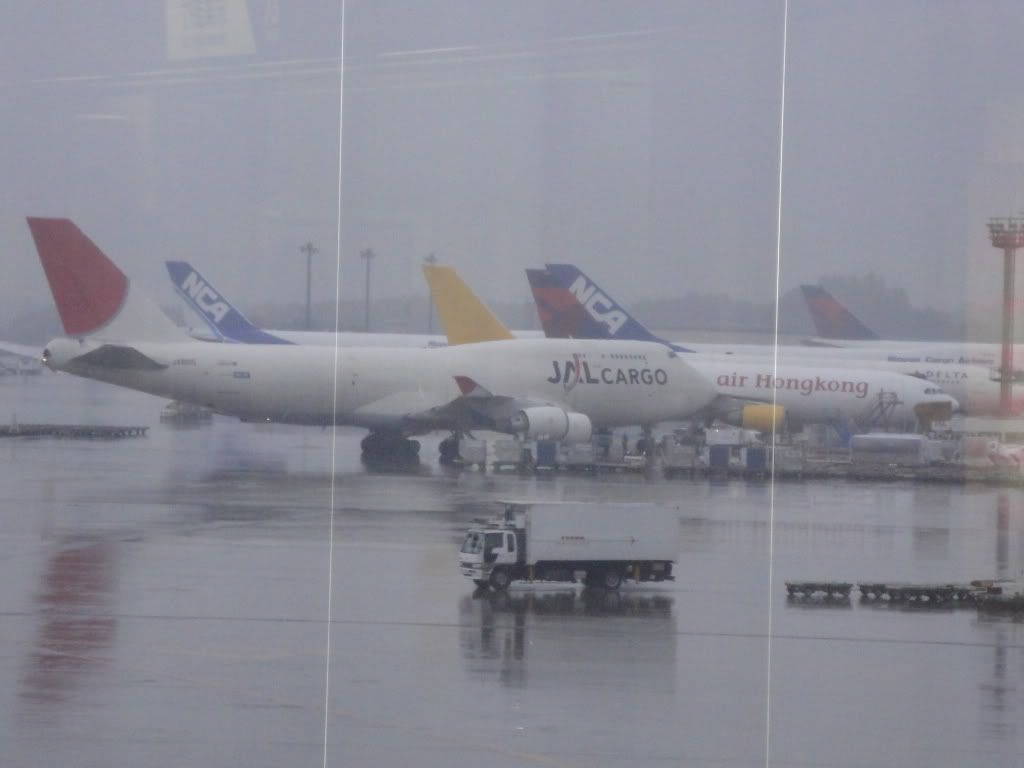 DSC01852.jpg