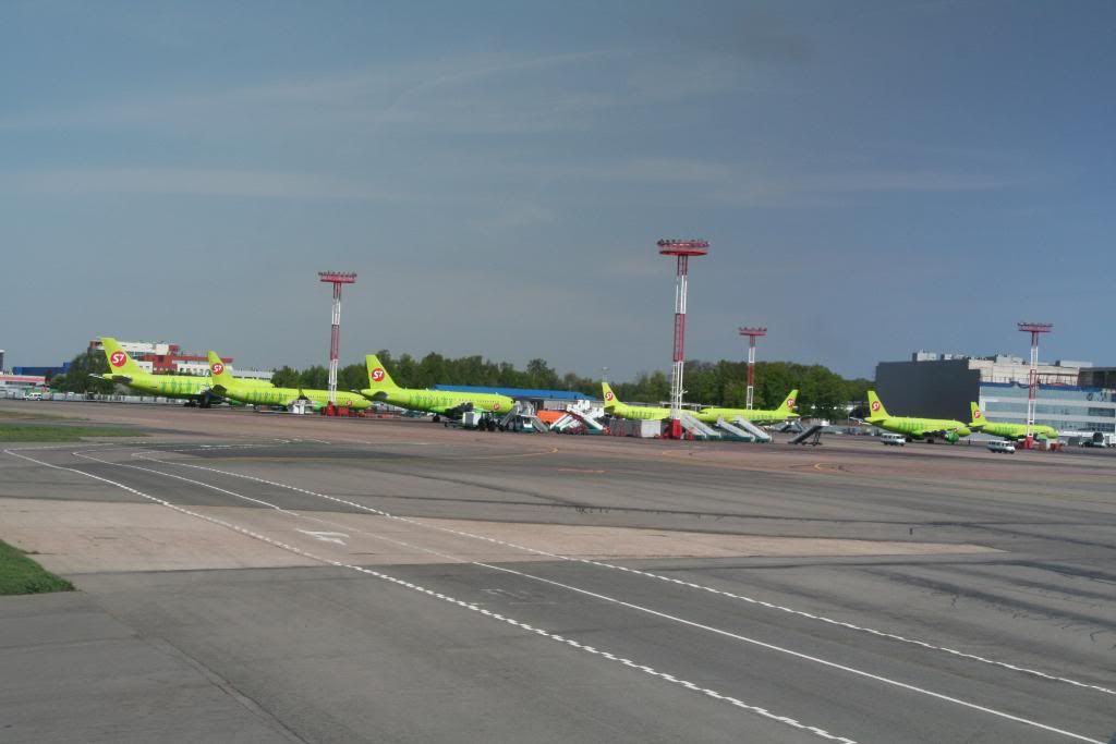 mosca84.jpg
