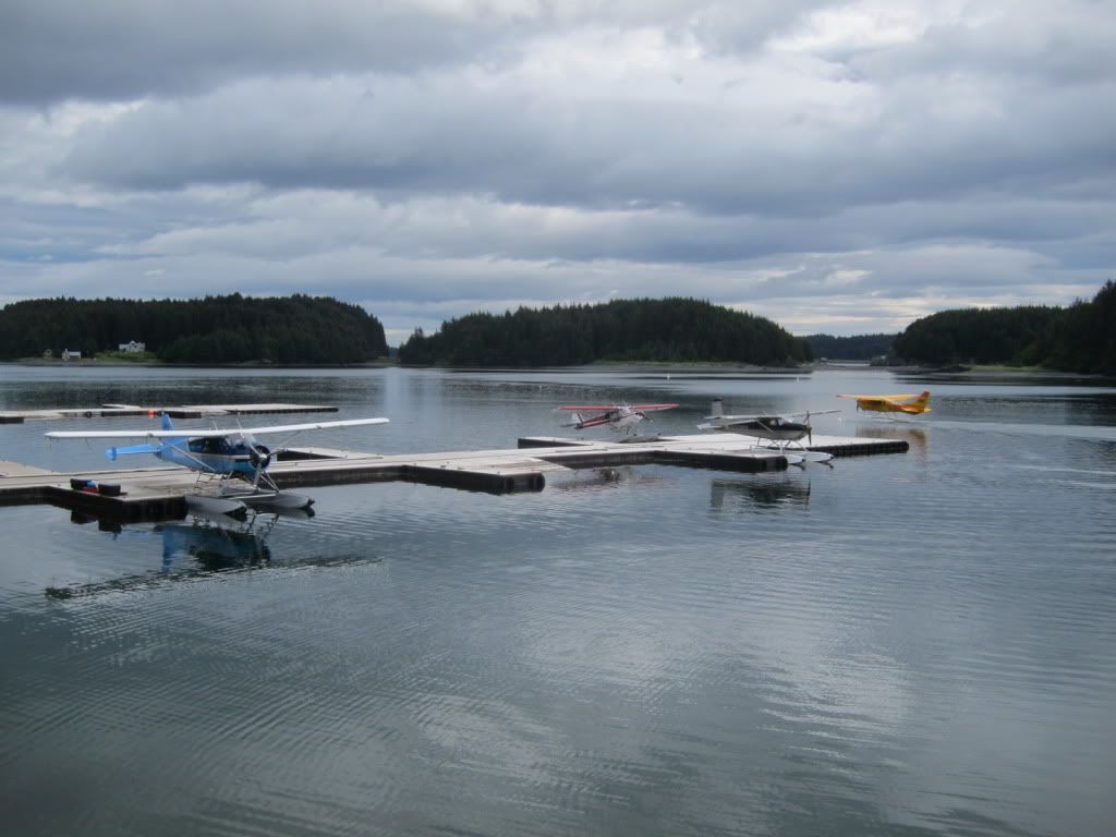 IMG_2463.jpg