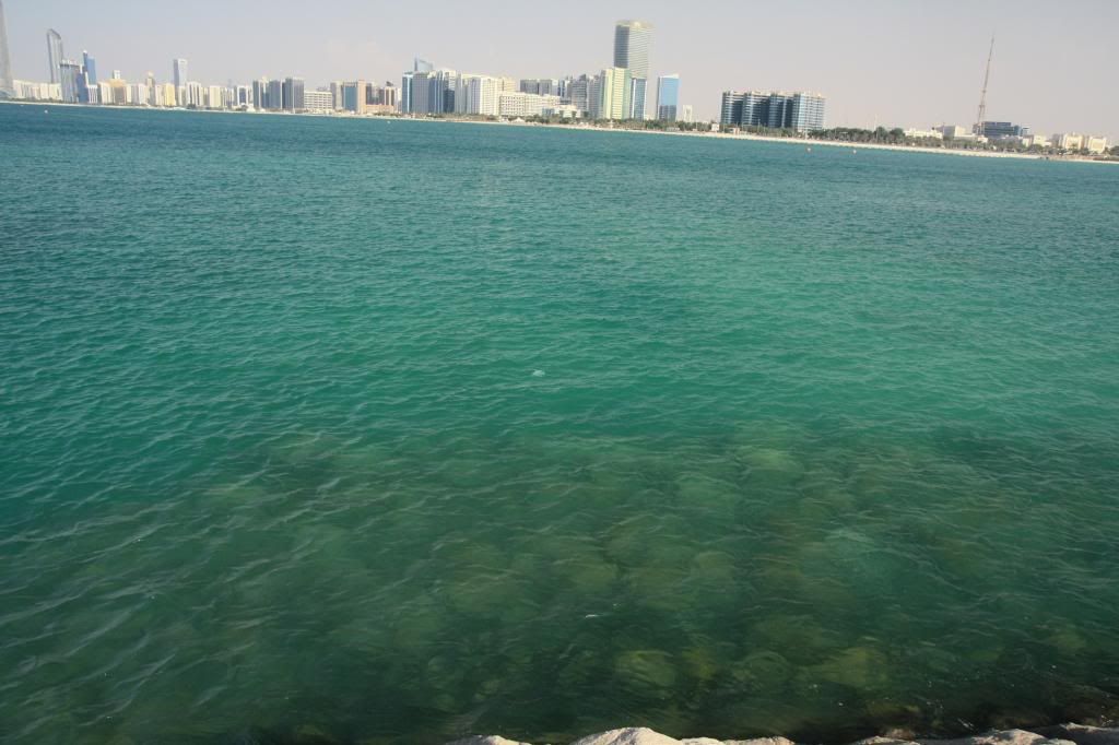 IMG_5344.jpg