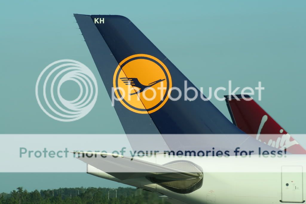 LHR253.jpg
