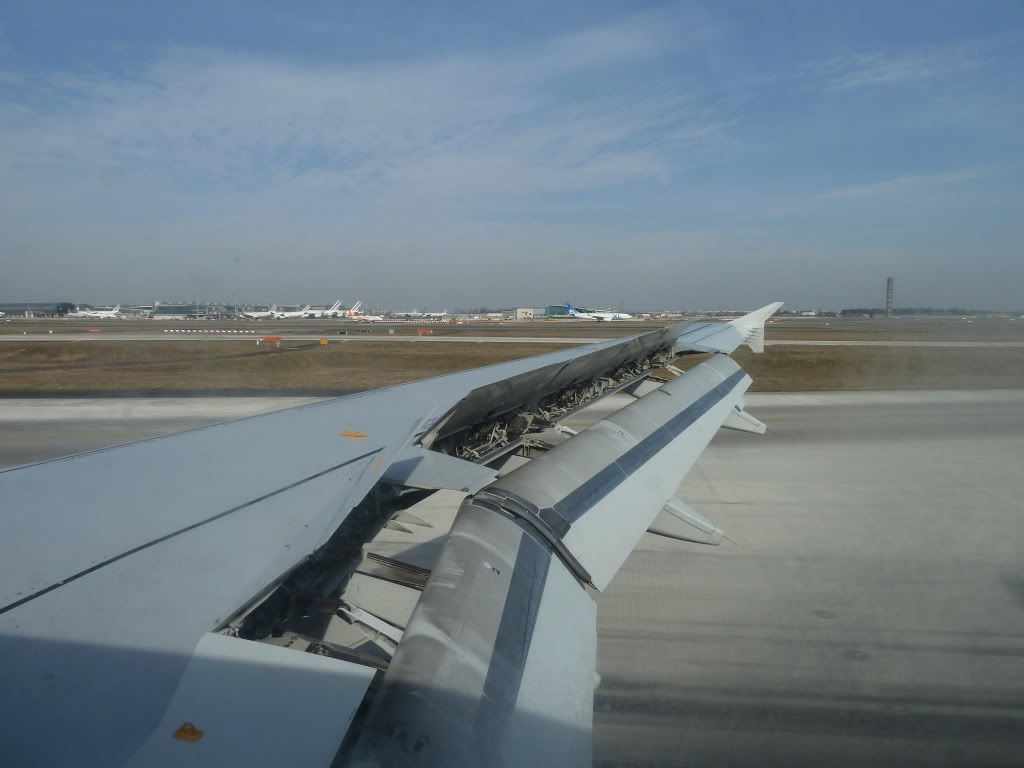 P1000265.jpg