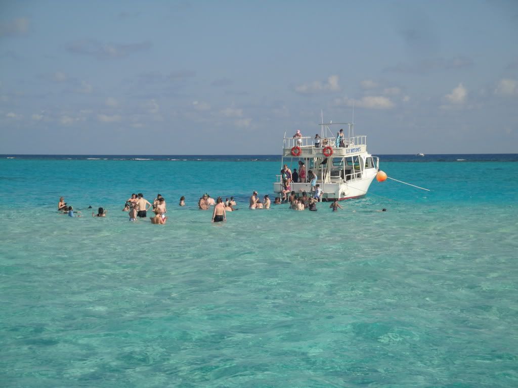 DSC05599.jpg