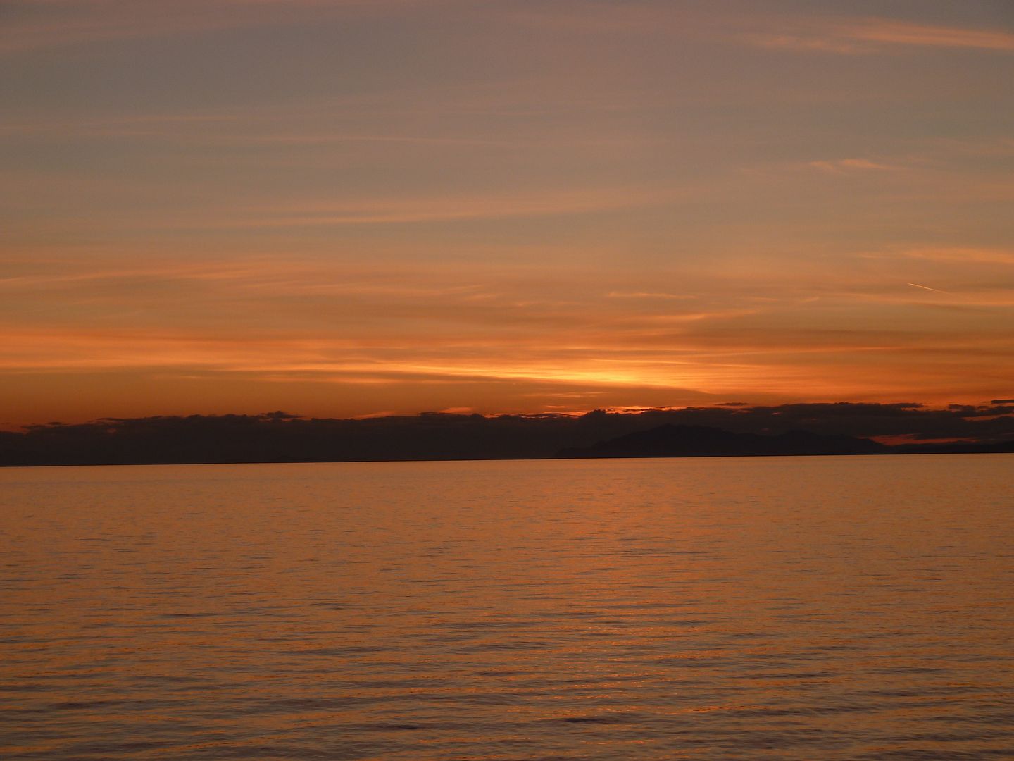 P1010256.jpg
