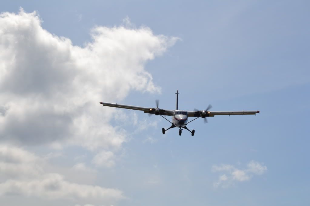 DSC_0379.jpg