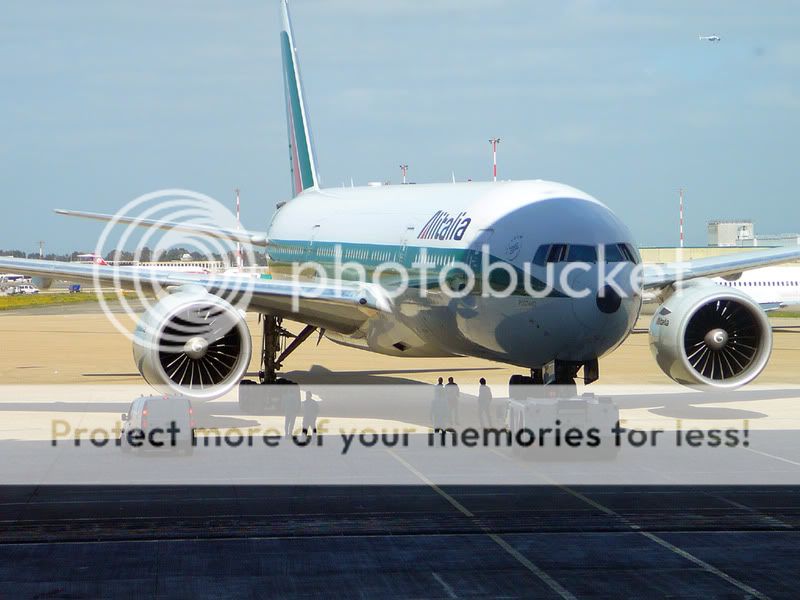 7772.jpg