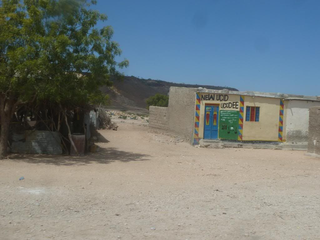 P1190230.jpg
