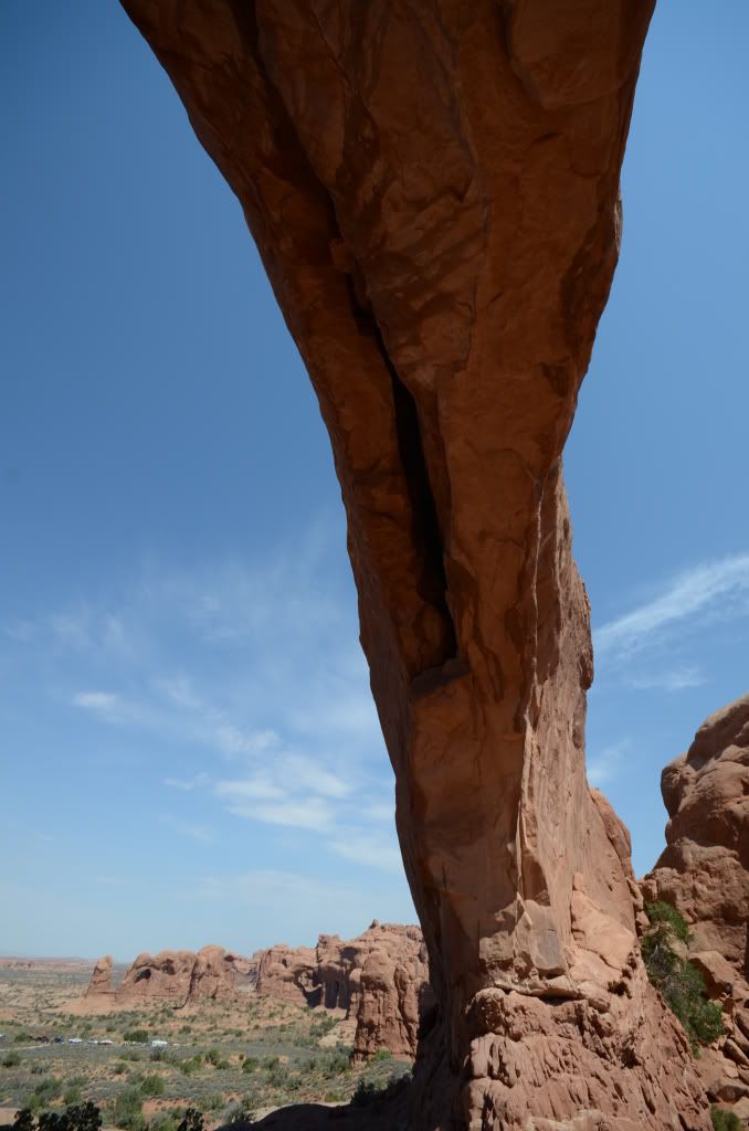 DSC_0857-1.jpg