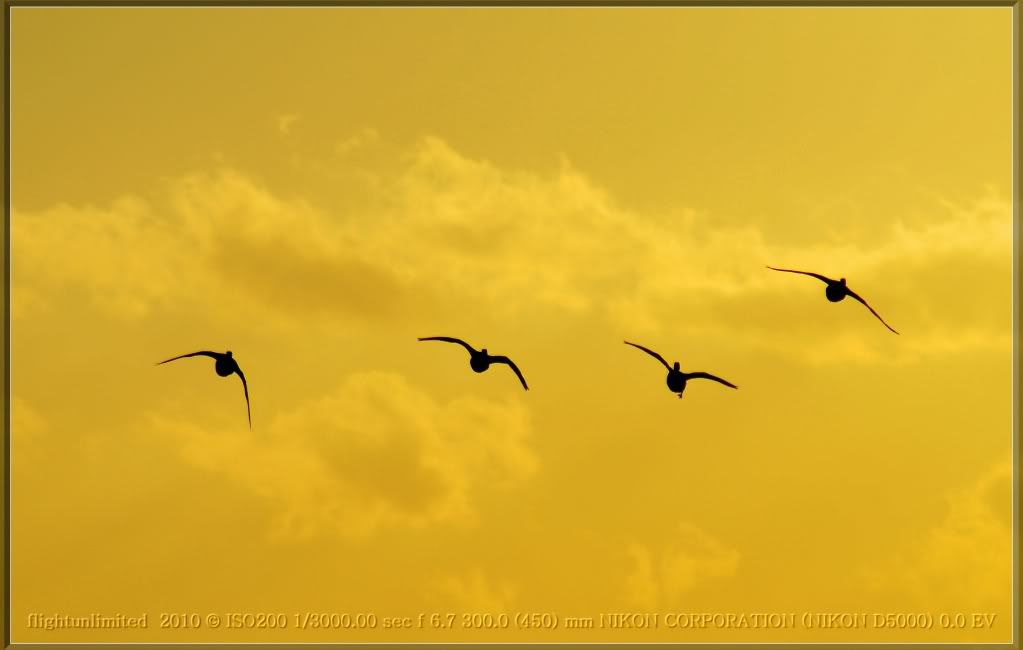 DSC_0102_hf.jpg