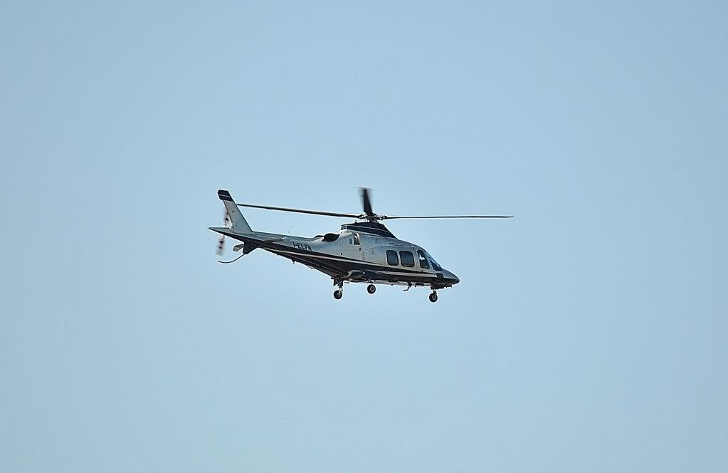DSC_0346.jpg