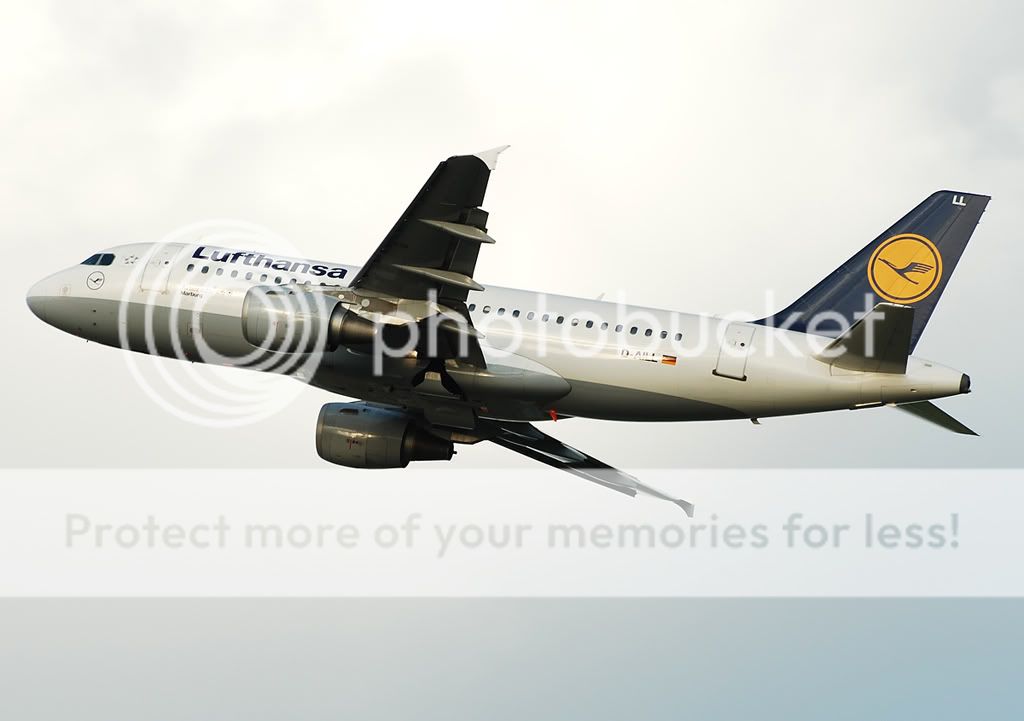 D-AILL.jpg
