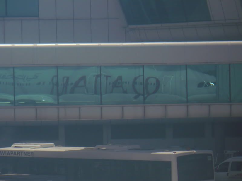 P1020195.jpg