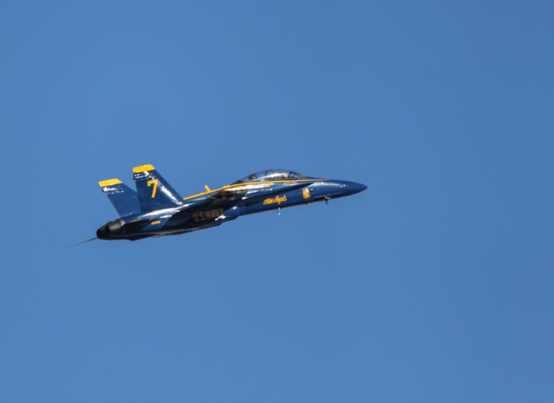 IMG_6872.jpg