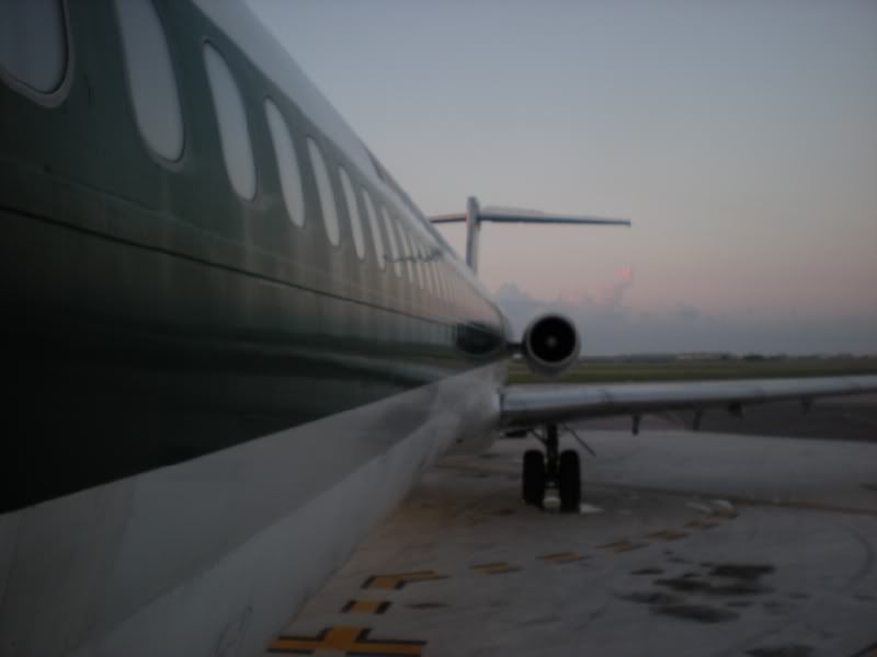 DSCN5966.jpg