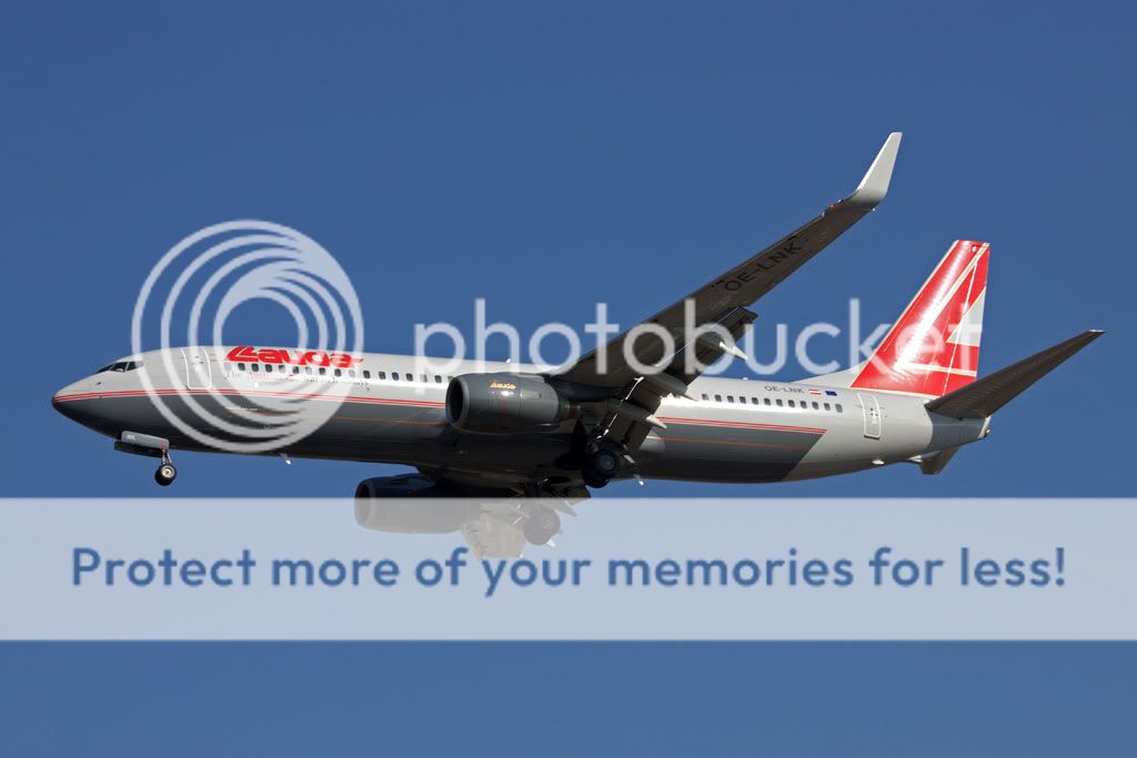 OE-LNK.jpg