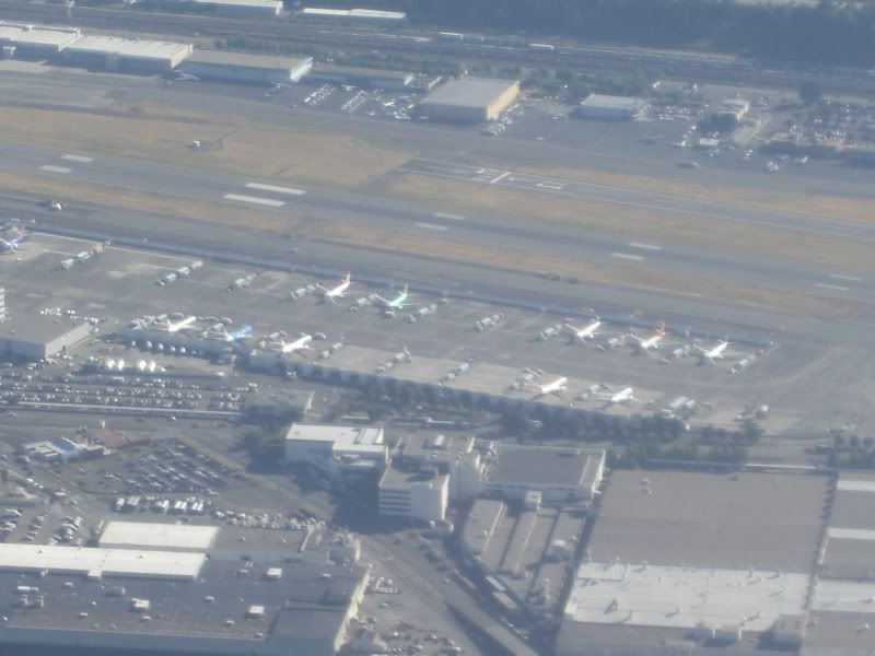 CIMG4977.jpg