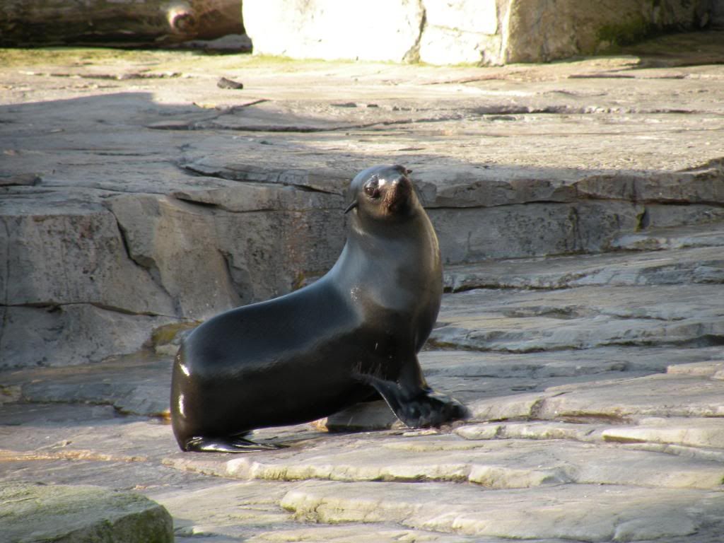 DSCN0432.jpg