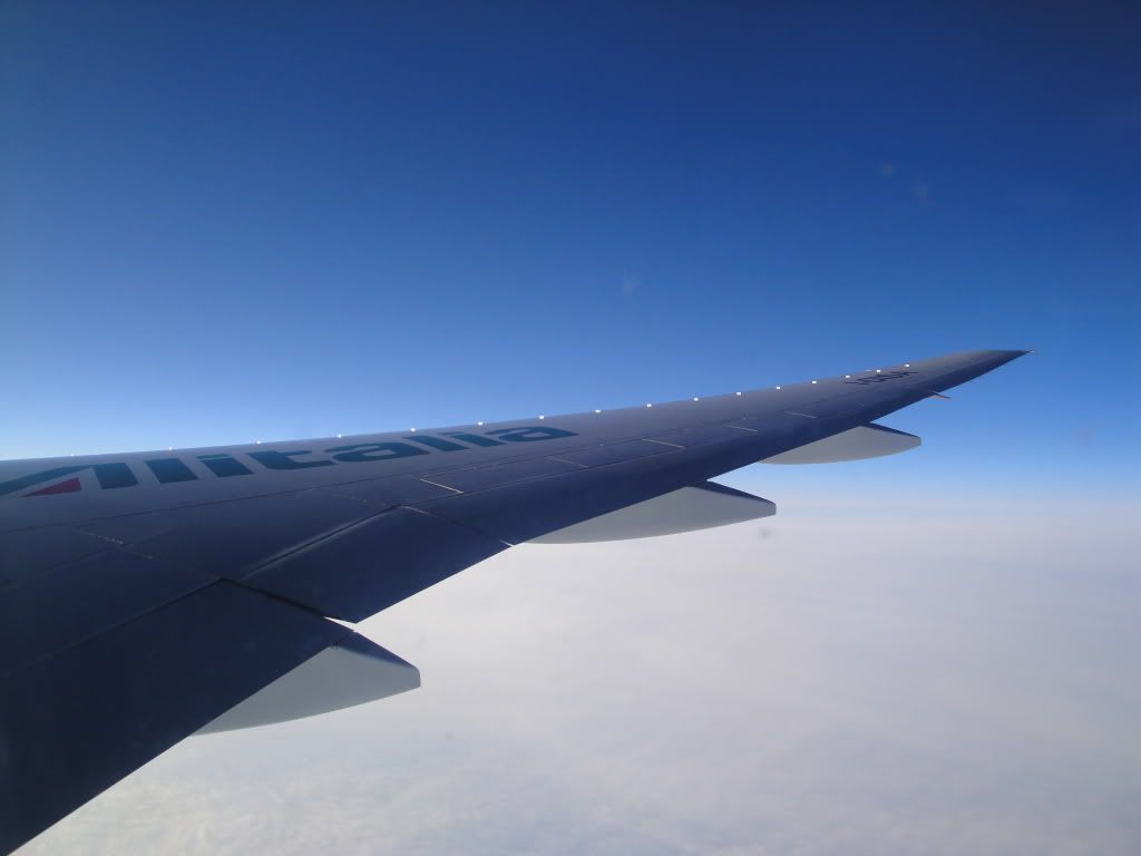 DSC01917.jpg