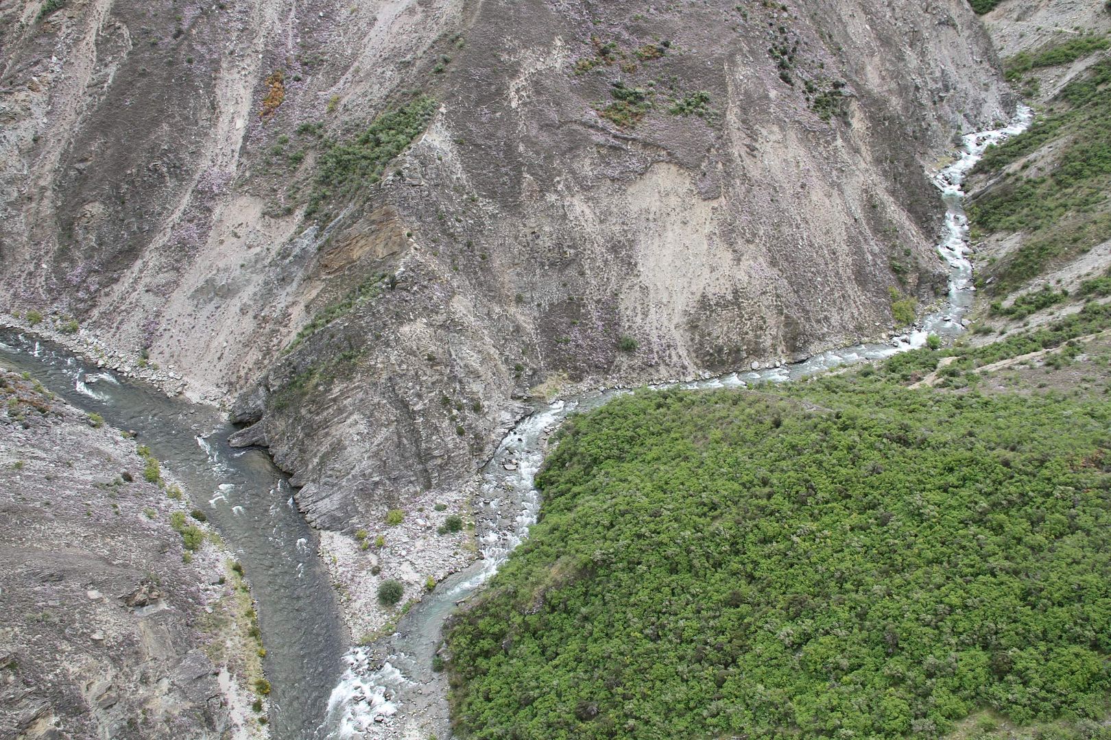 NZ90.jpg