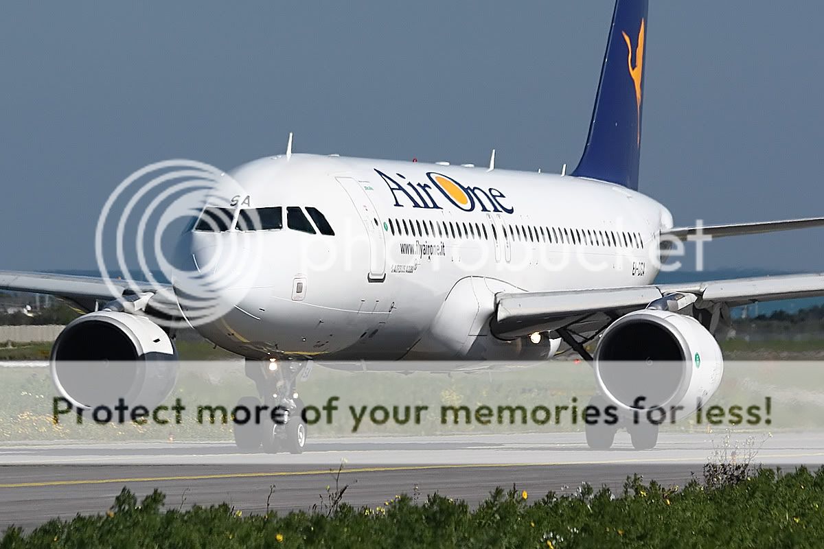 2875.jpg
