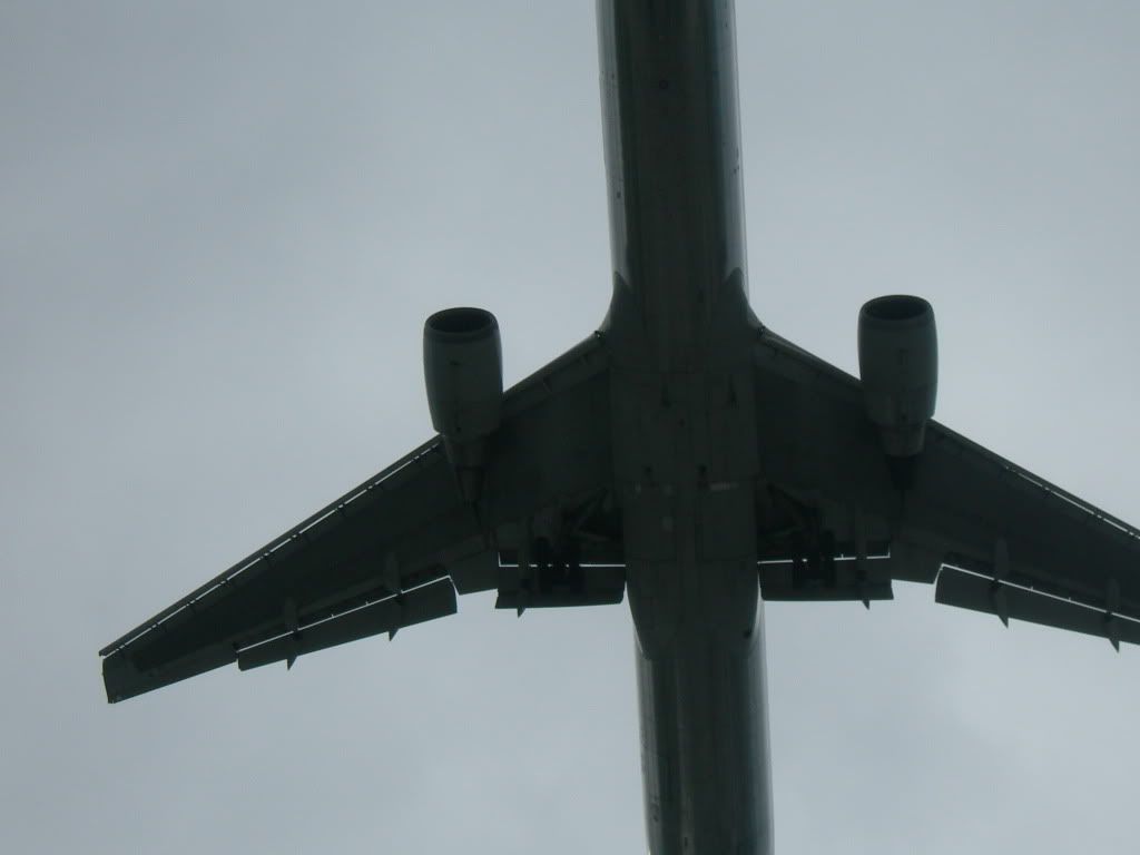 DSCN1831.jpg