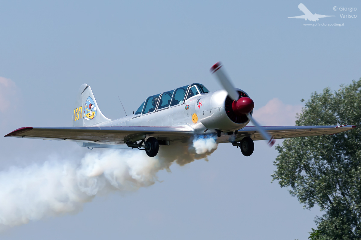 _MG_1045_020619.jpg