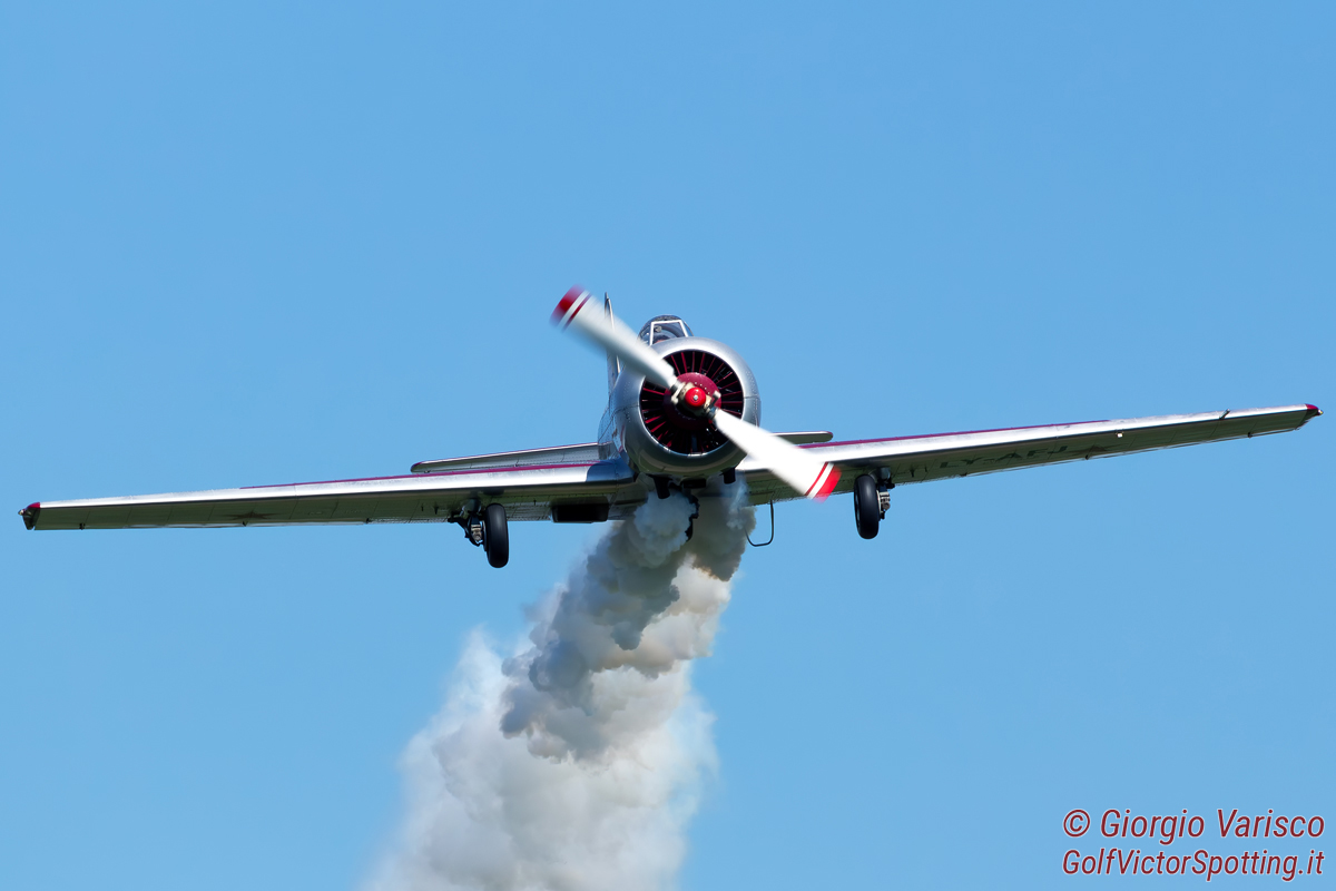 _MG_7340_290625.jpg