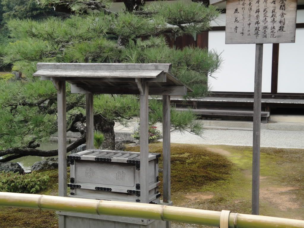 DSC01514.jpg