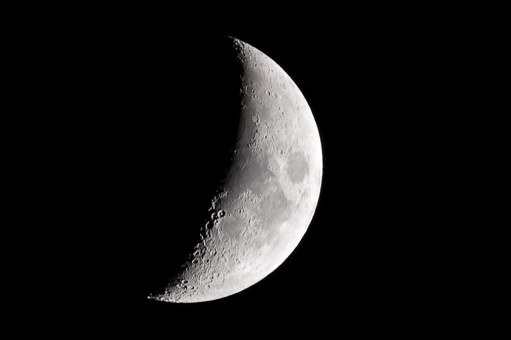 luna.jpg