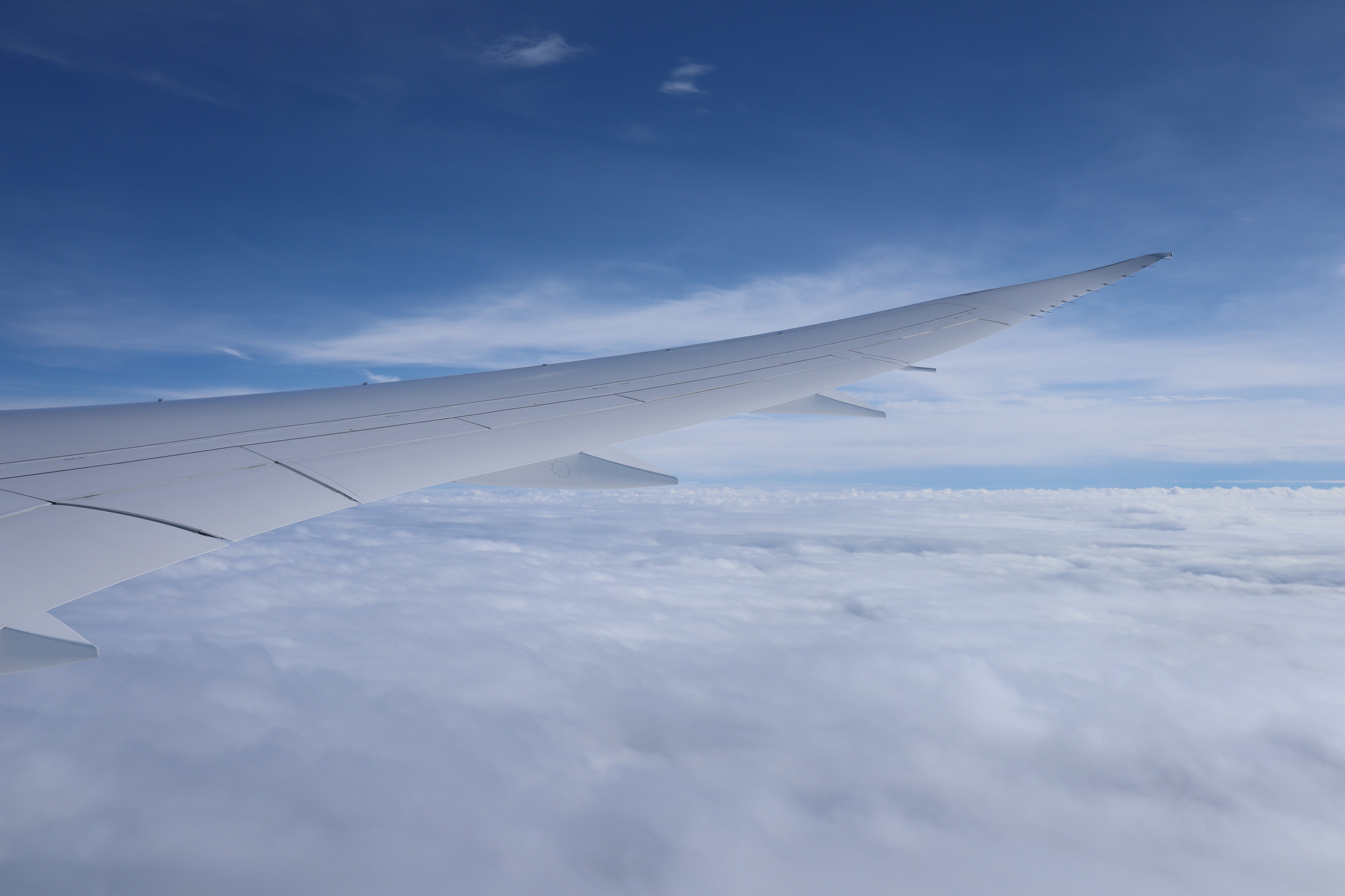 49529252997_c2a3963ff9_6k.jpg