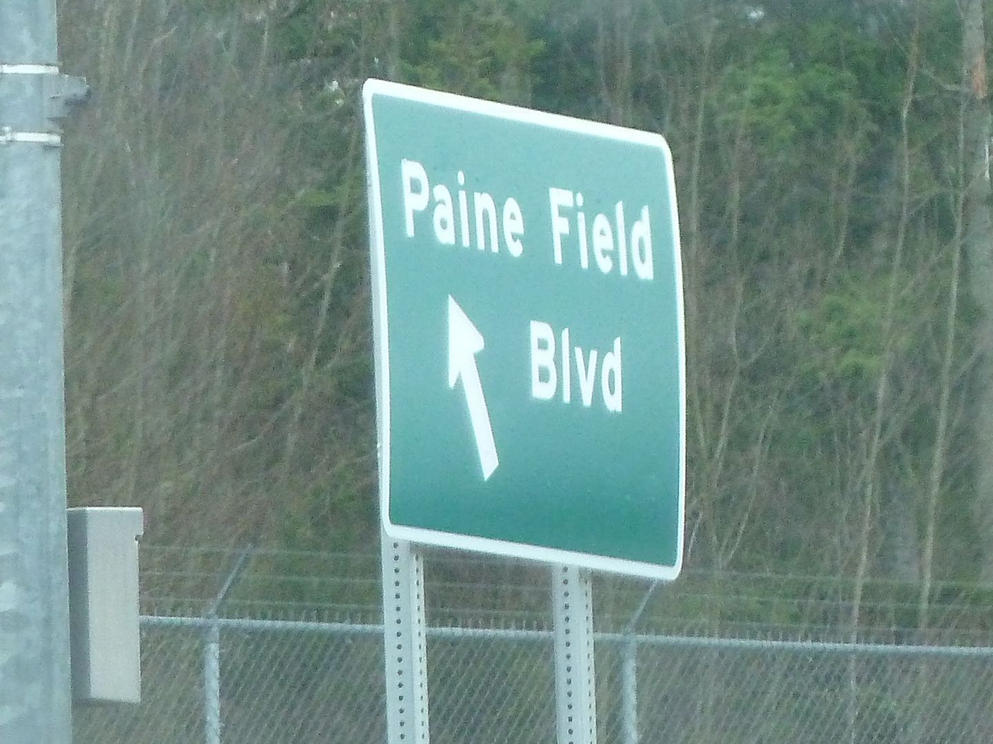 P1020197.jpg