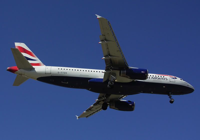 G-TTOHagp.jpg