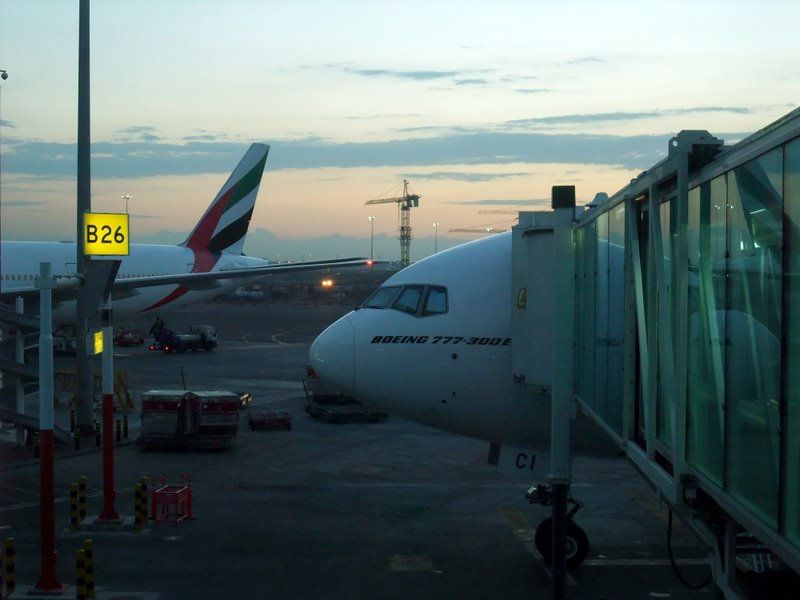 DSCF8250.jpg